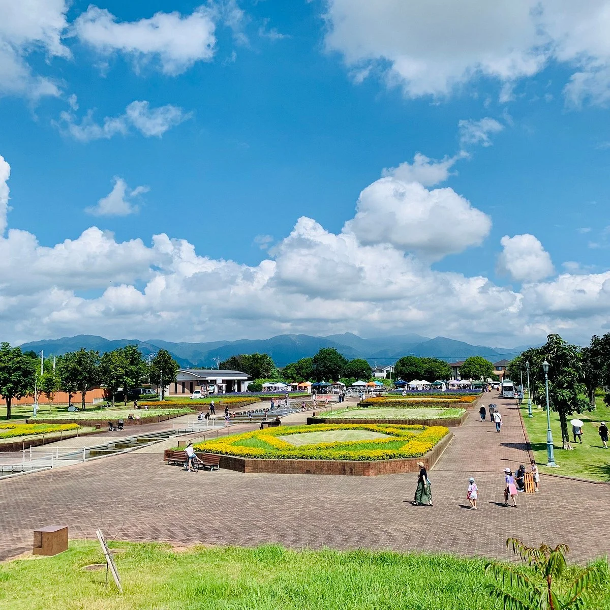 Suzuka Flower Park
