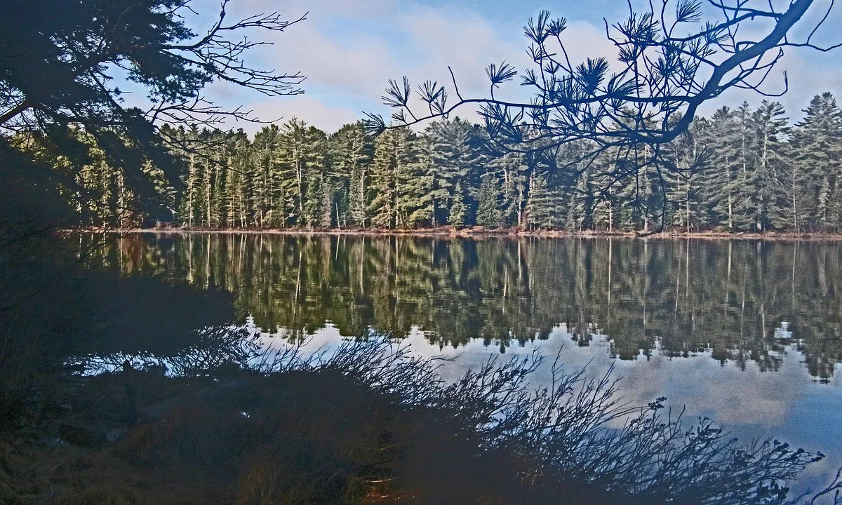 Algonquin Park