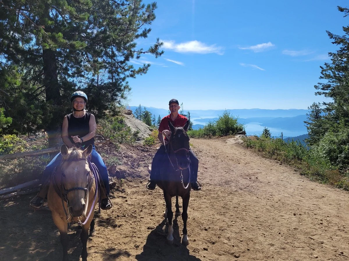 Mountain Horse Adventures