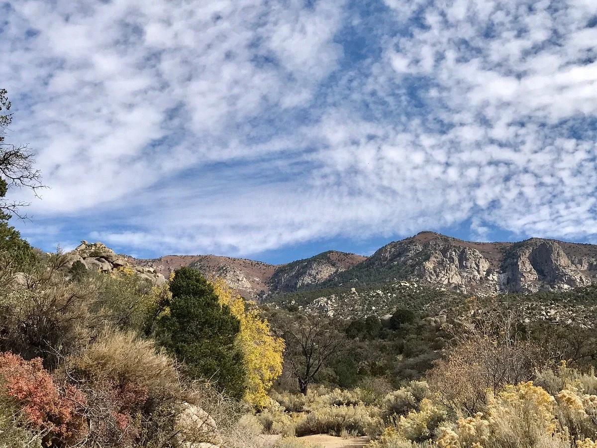 Foothills Trails