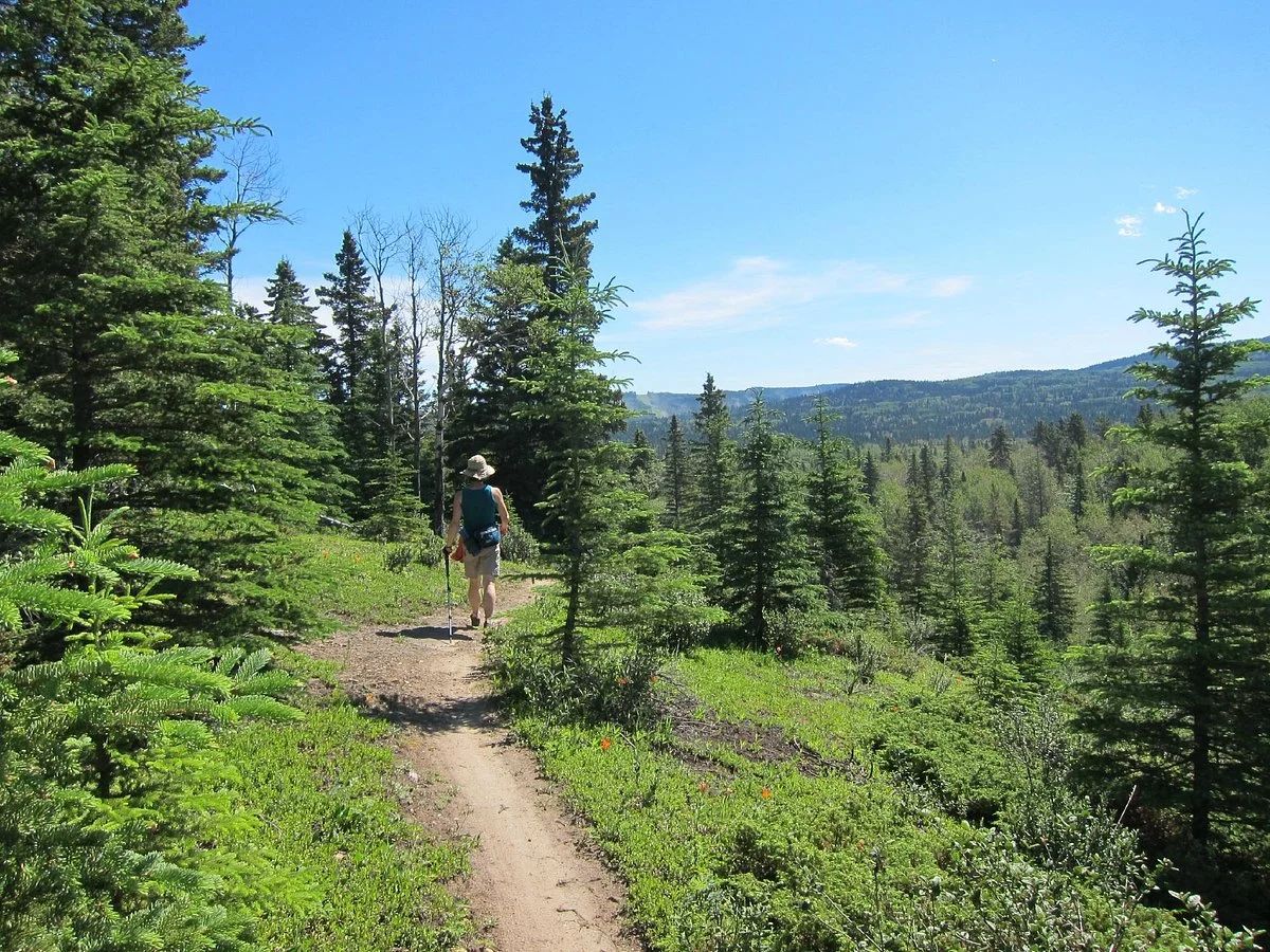 Hinton Bike Park