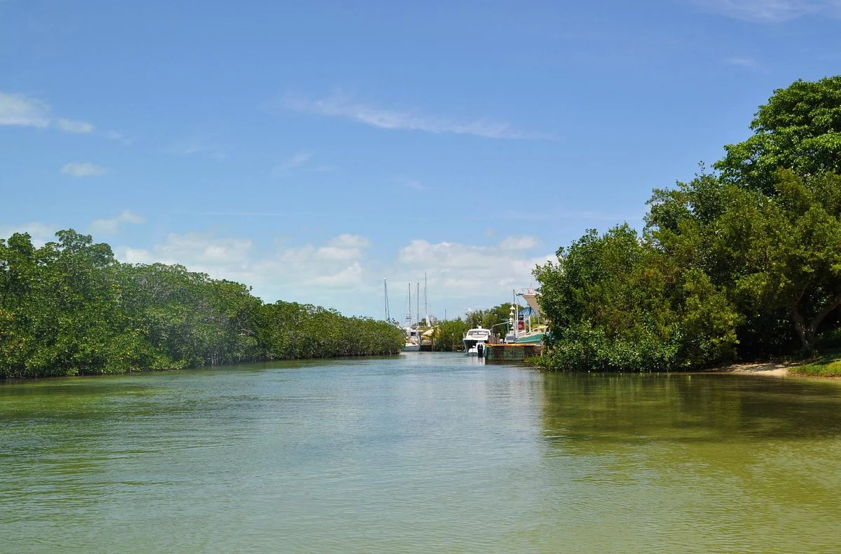 Library Beach Park