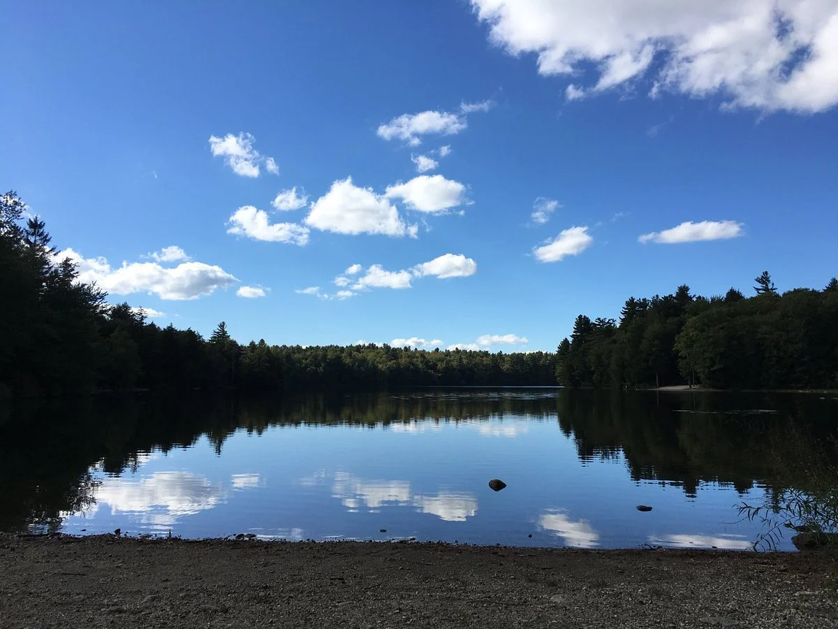 DAR State Forest