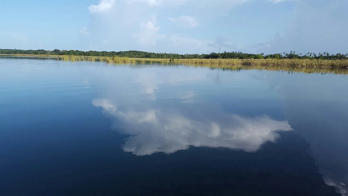 Laguna Tortuguero