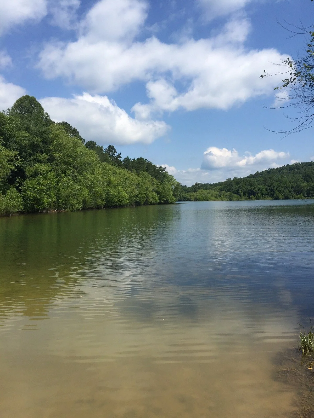 Jackrabbit Mountain Bike & Hiking Trails