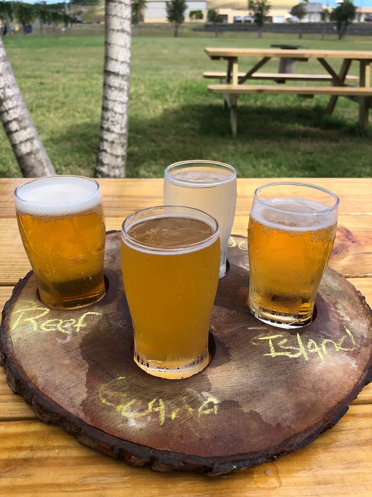 Leatherback Brewing Co.
