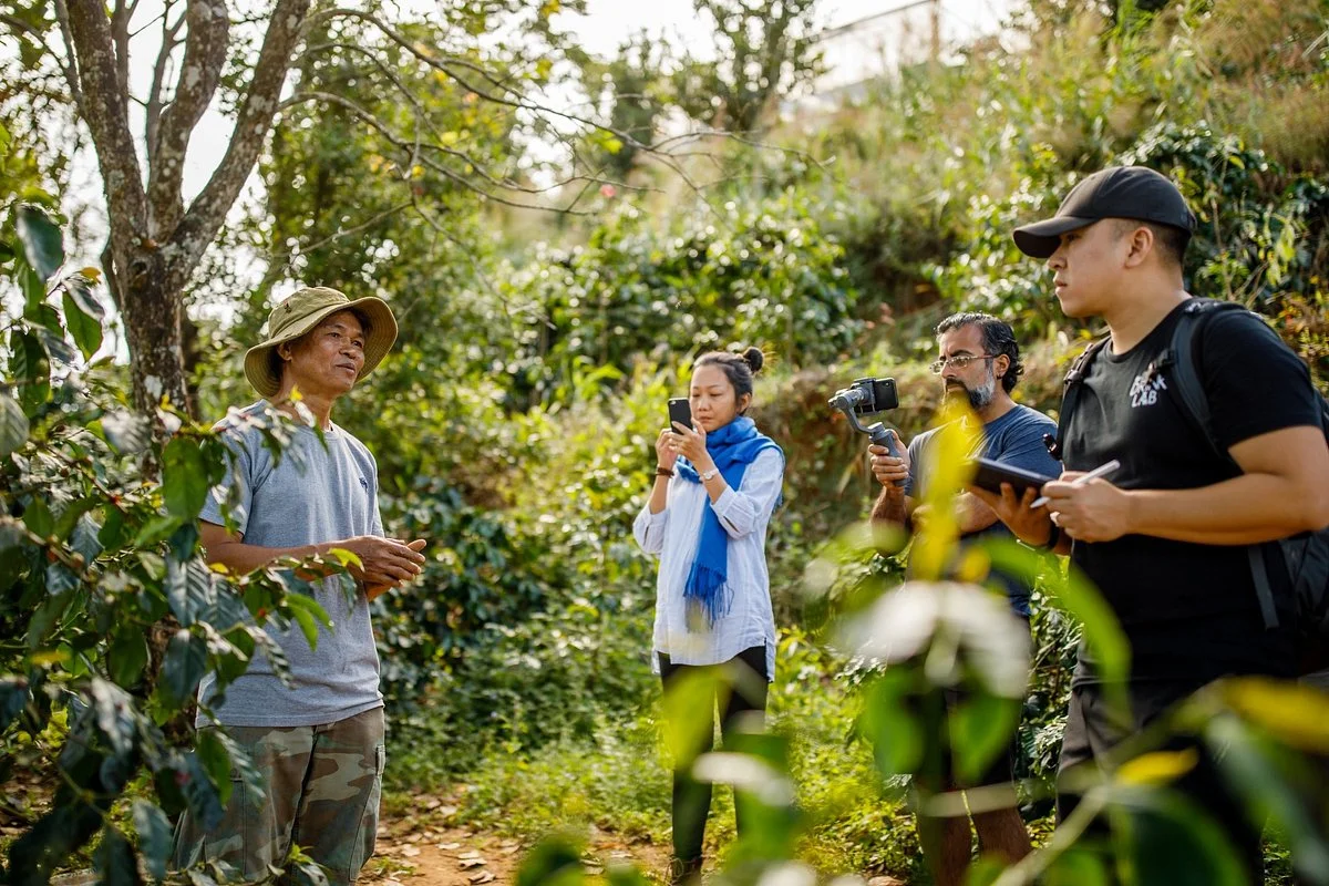 Son Pacamara Coffee Farm Experience