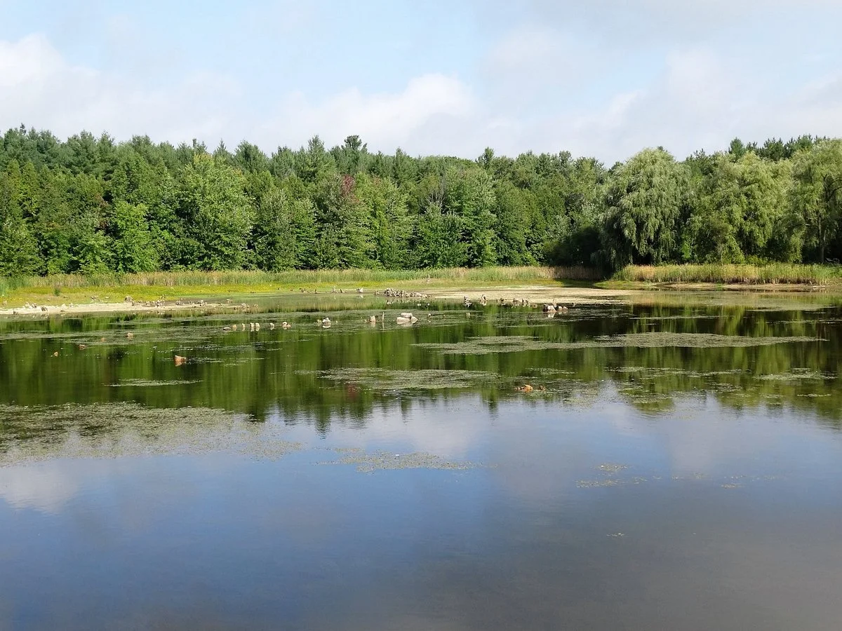 Robert Edmondson Conservation Area