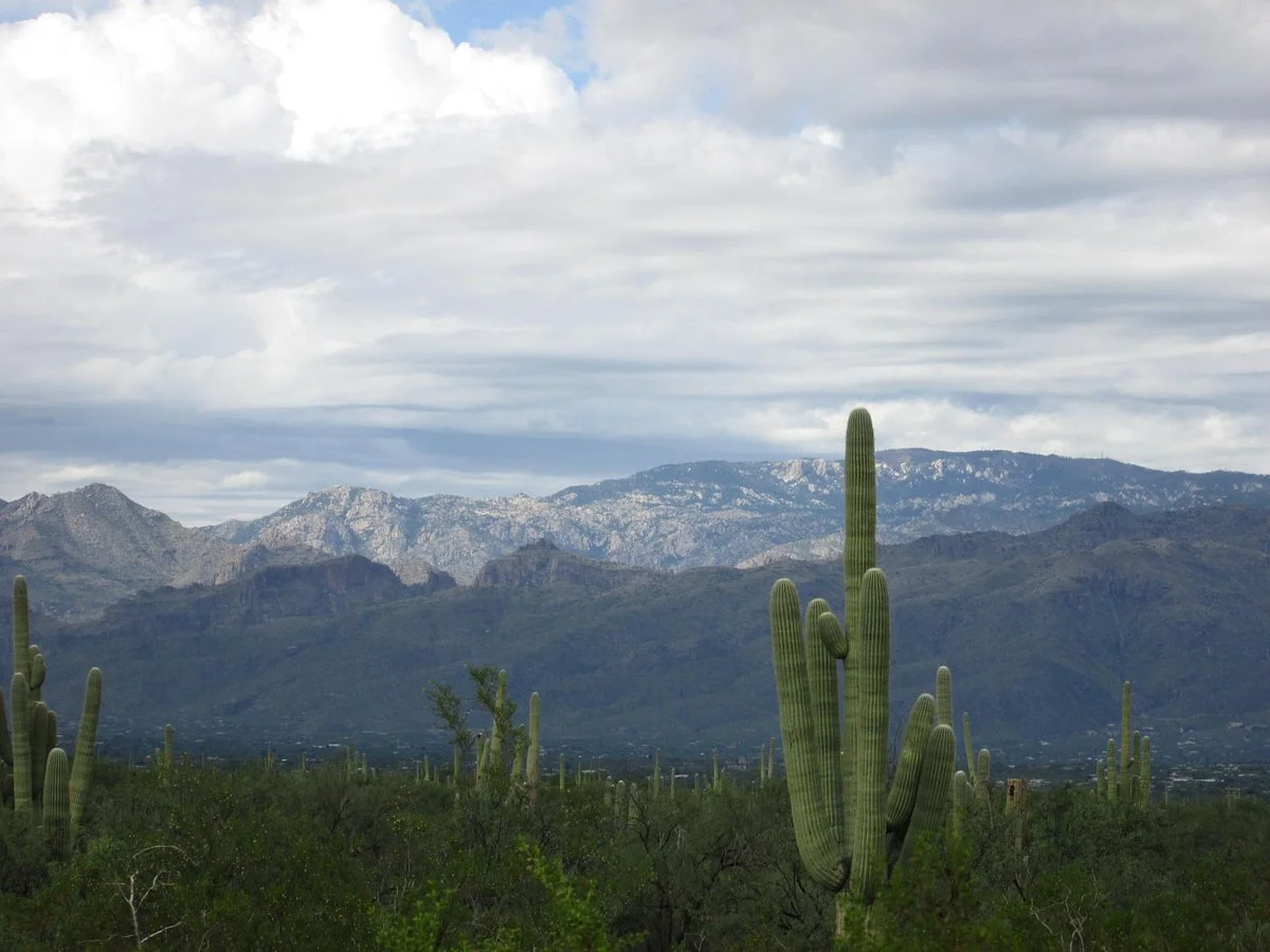 Rincon Mountain Visitor Center