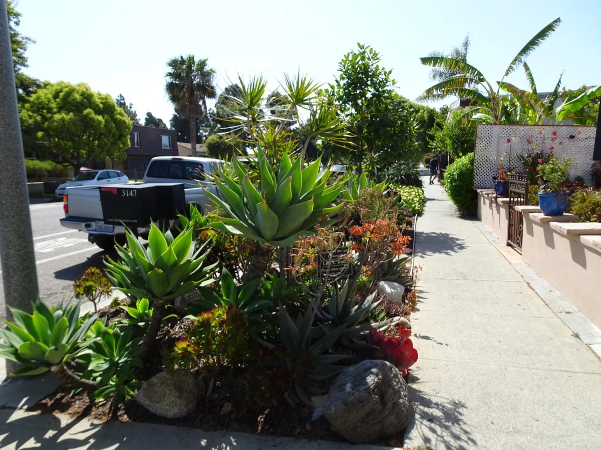 Pine Avenue Park