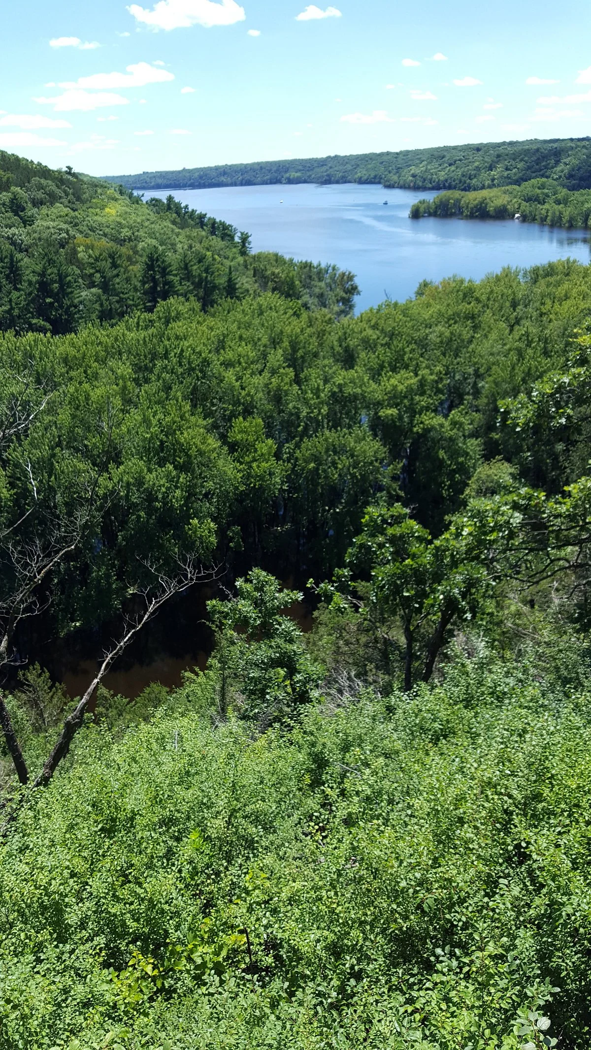 Kinnickinnic State Park