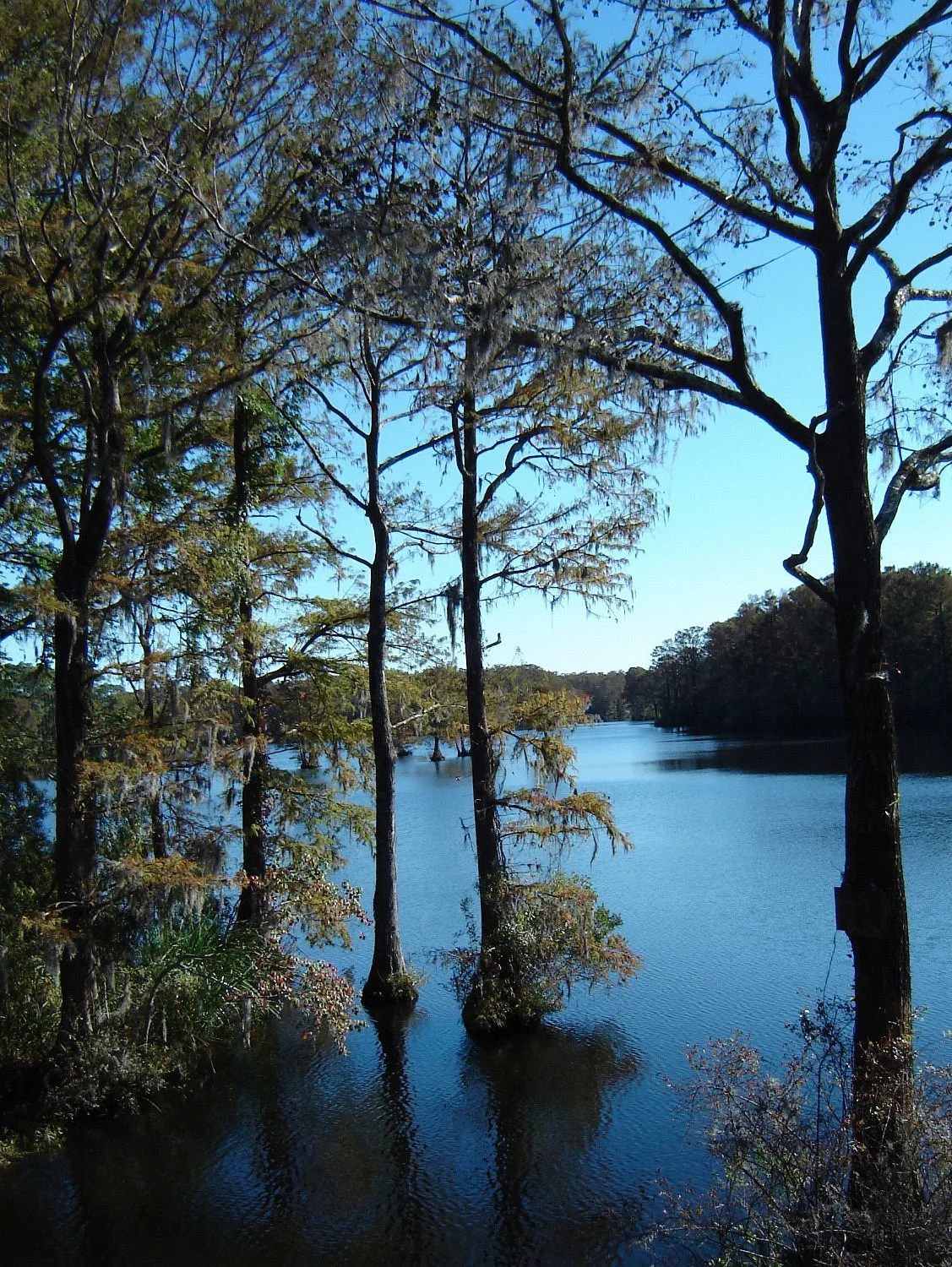 Greenfield Park