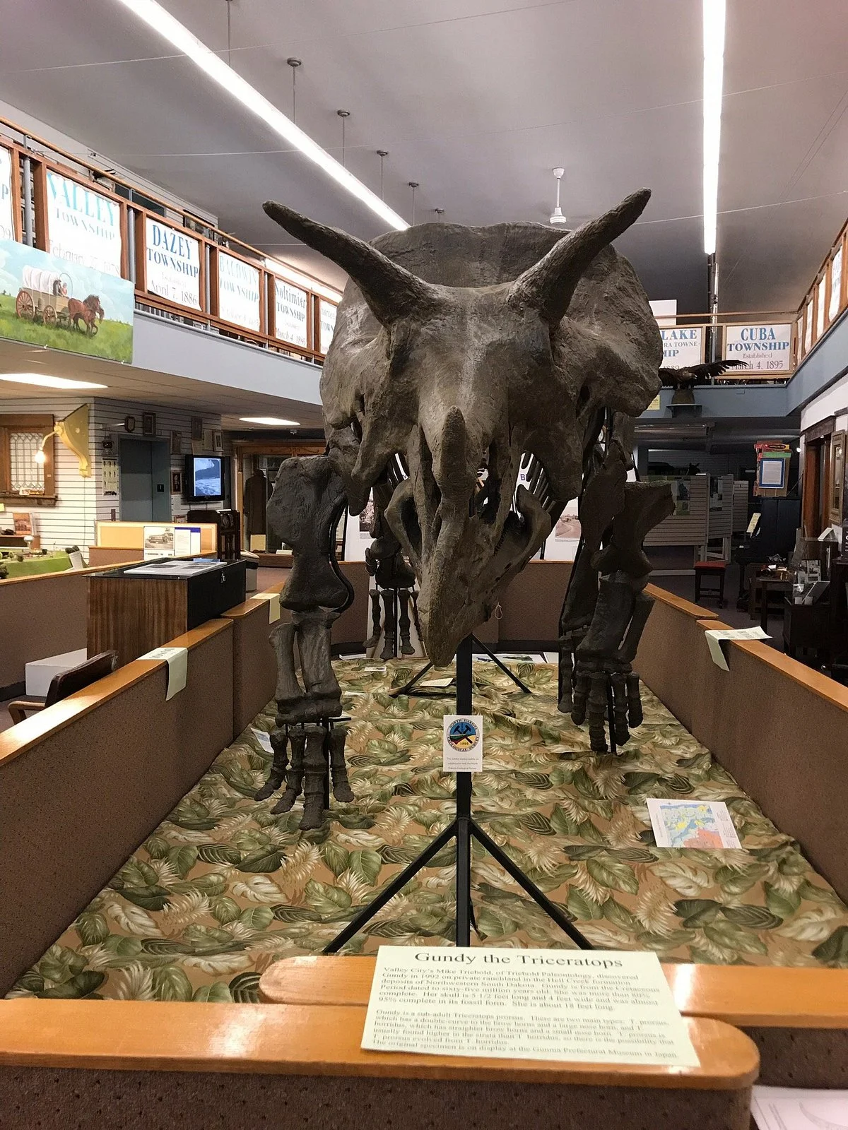 Barnes County Historical Society