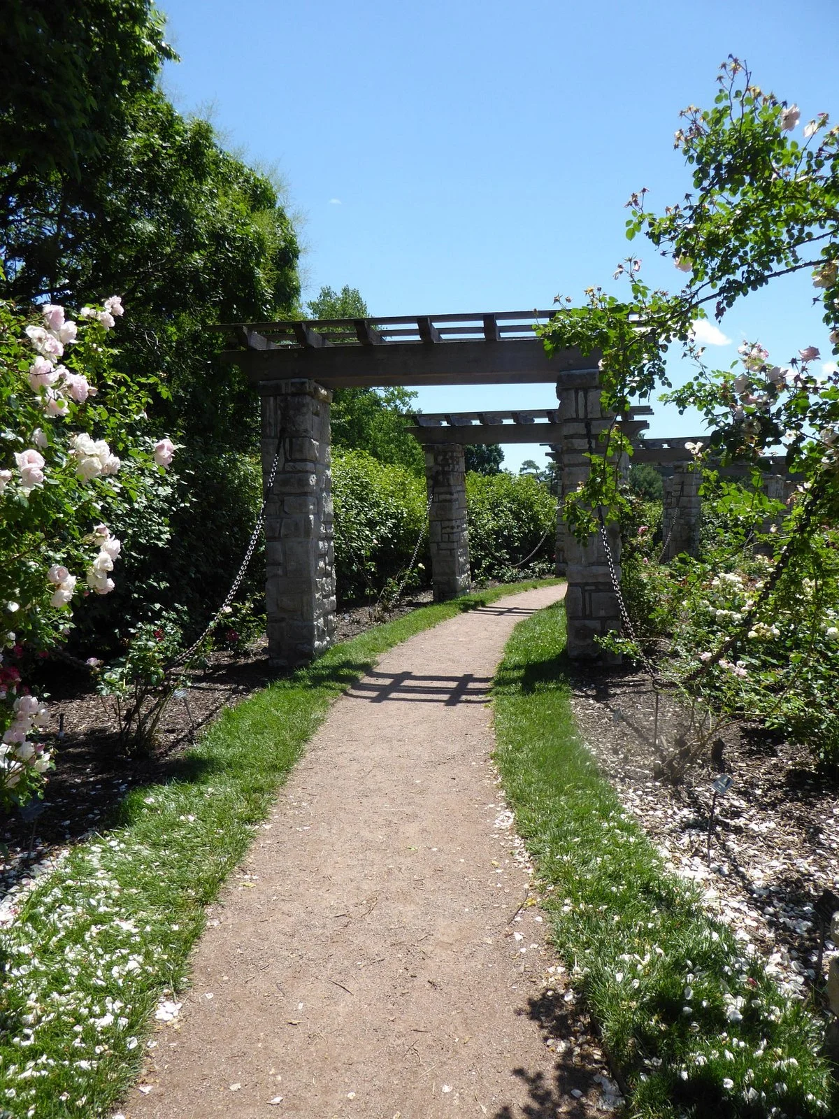 Laura Conyers Smith Rose Garden in Loose Park