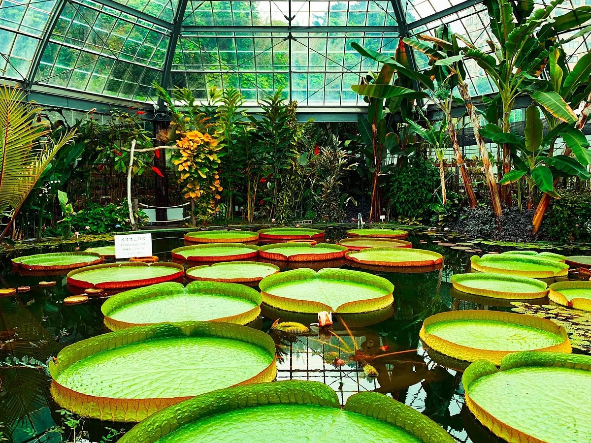 Atagawa Tropical & Alligator Garden