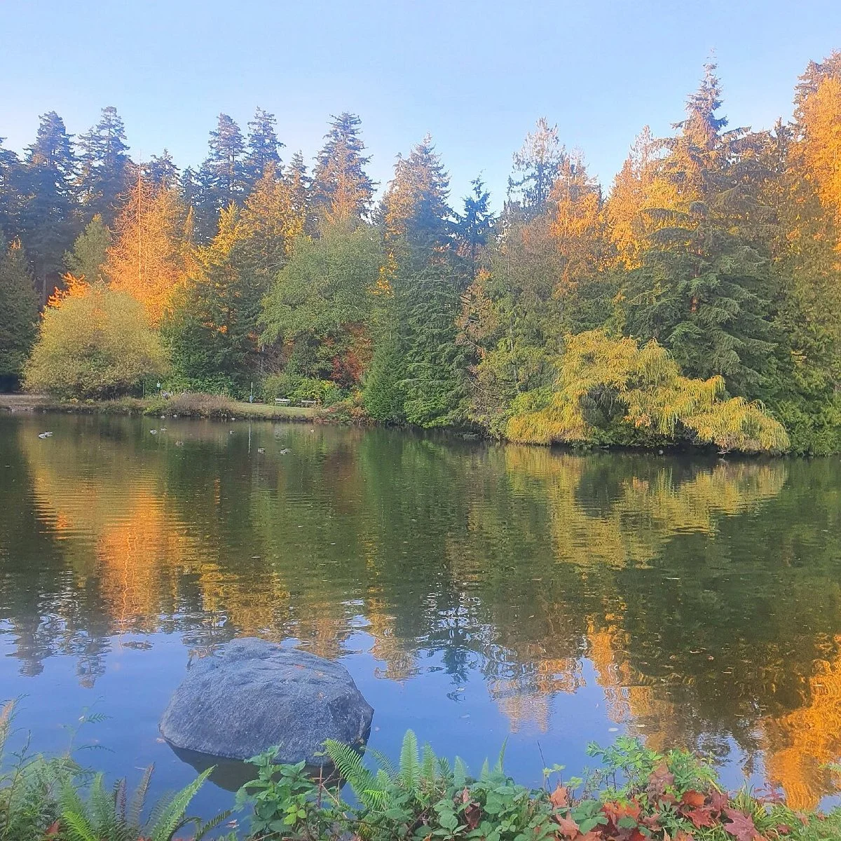 Central Park Burnaby