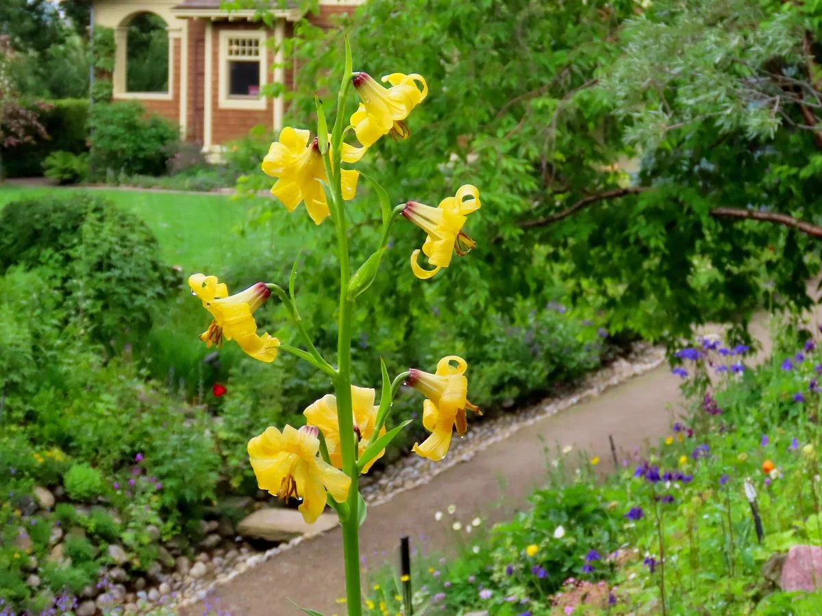 Reader Rock Garden and Reader's Garden Cafe