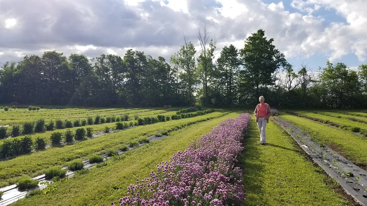 Lochland Botanicals