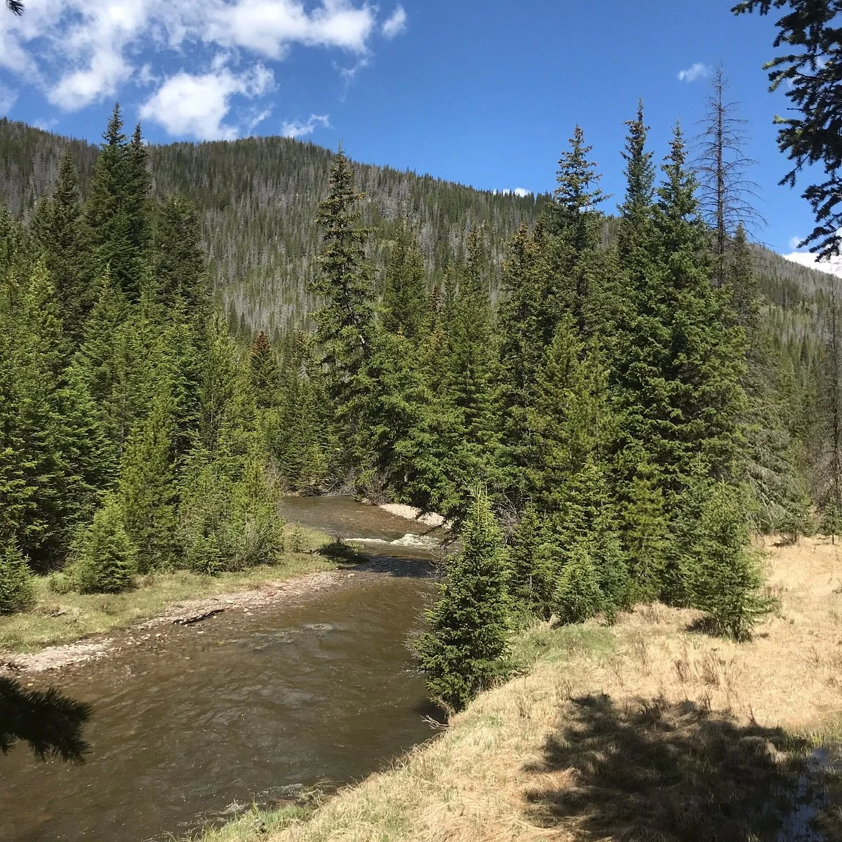 Lulu City Trail