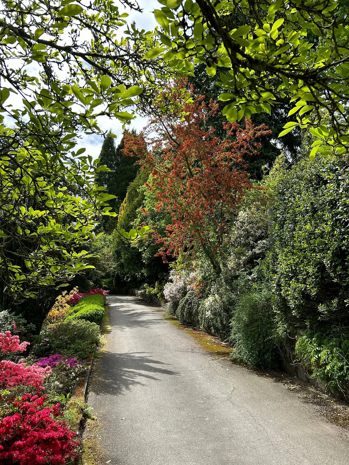 Dart's Hill Garden Park