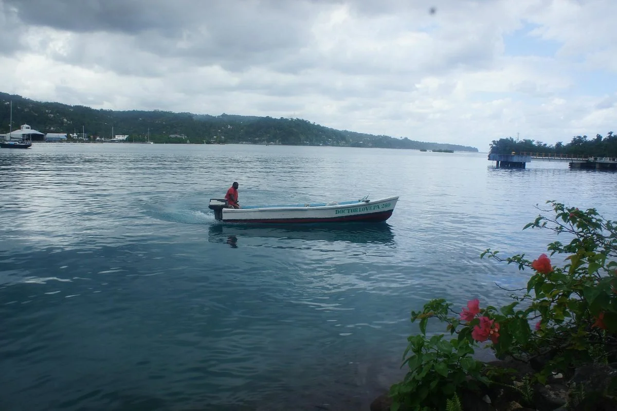 Navy Island