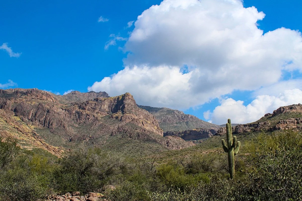 Lost Goldmine Trail