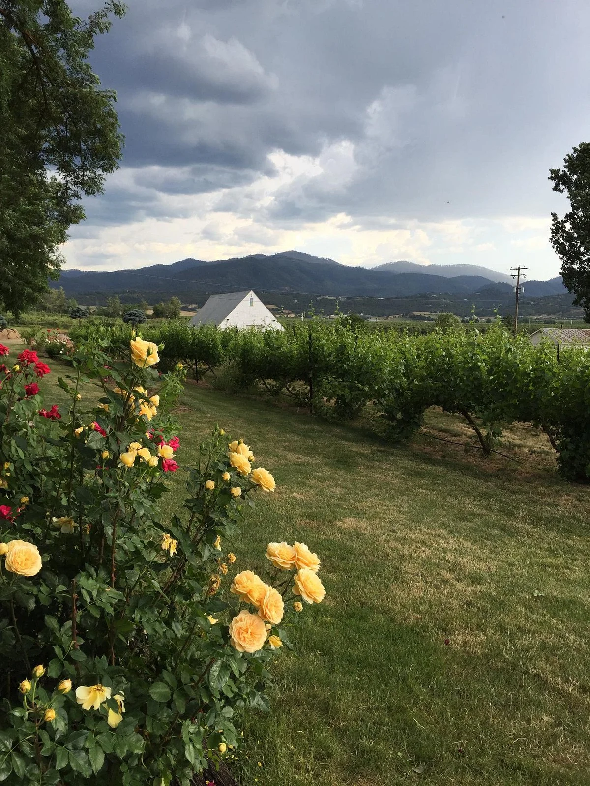 EdenVale Winery