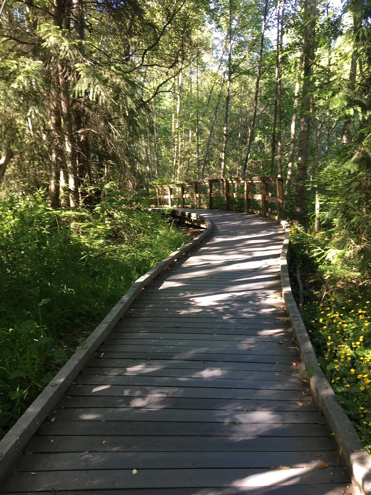 Narbeck Wetland Sanctuary Park