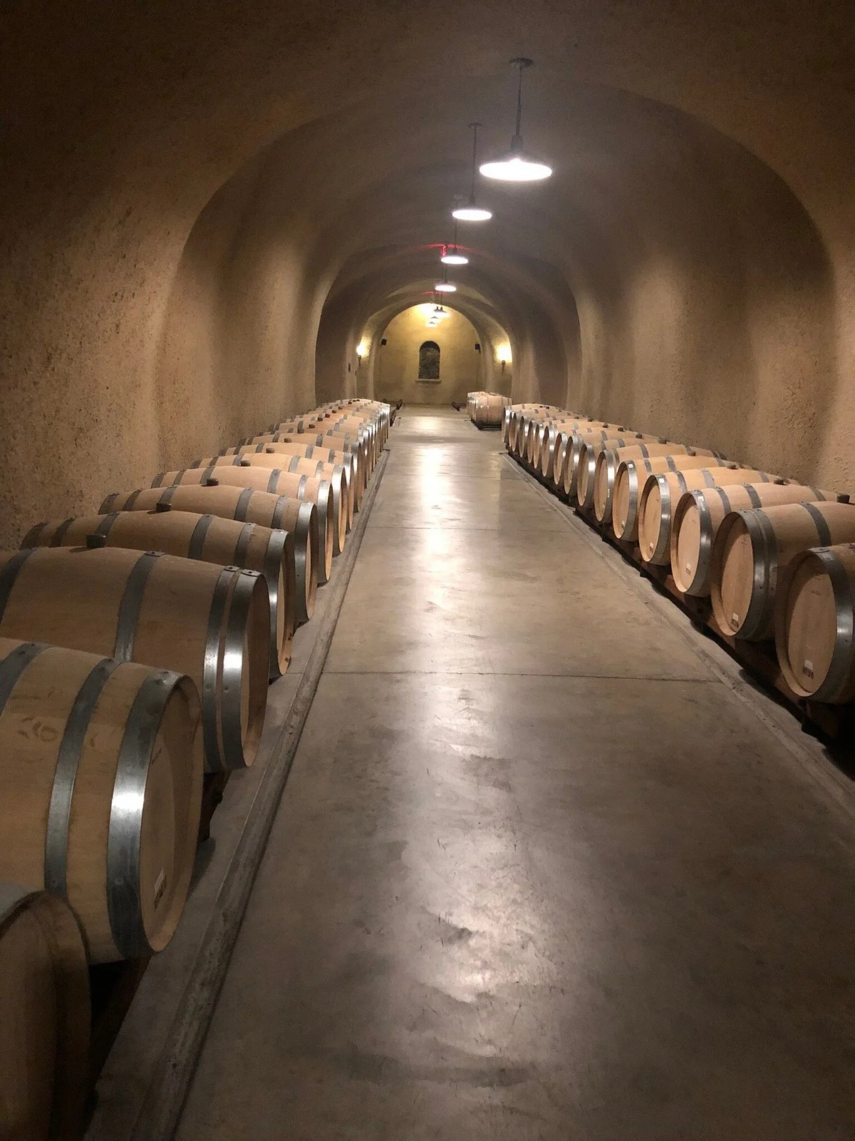 Jericho Canyon Vineyard
