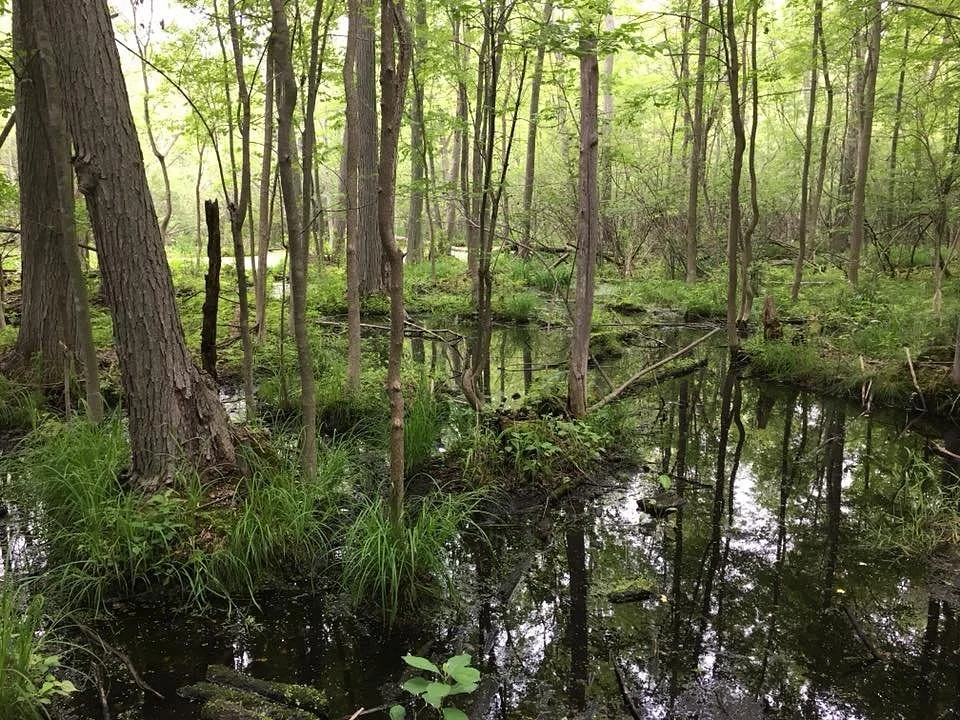 Heckrodt Wetland Reserve