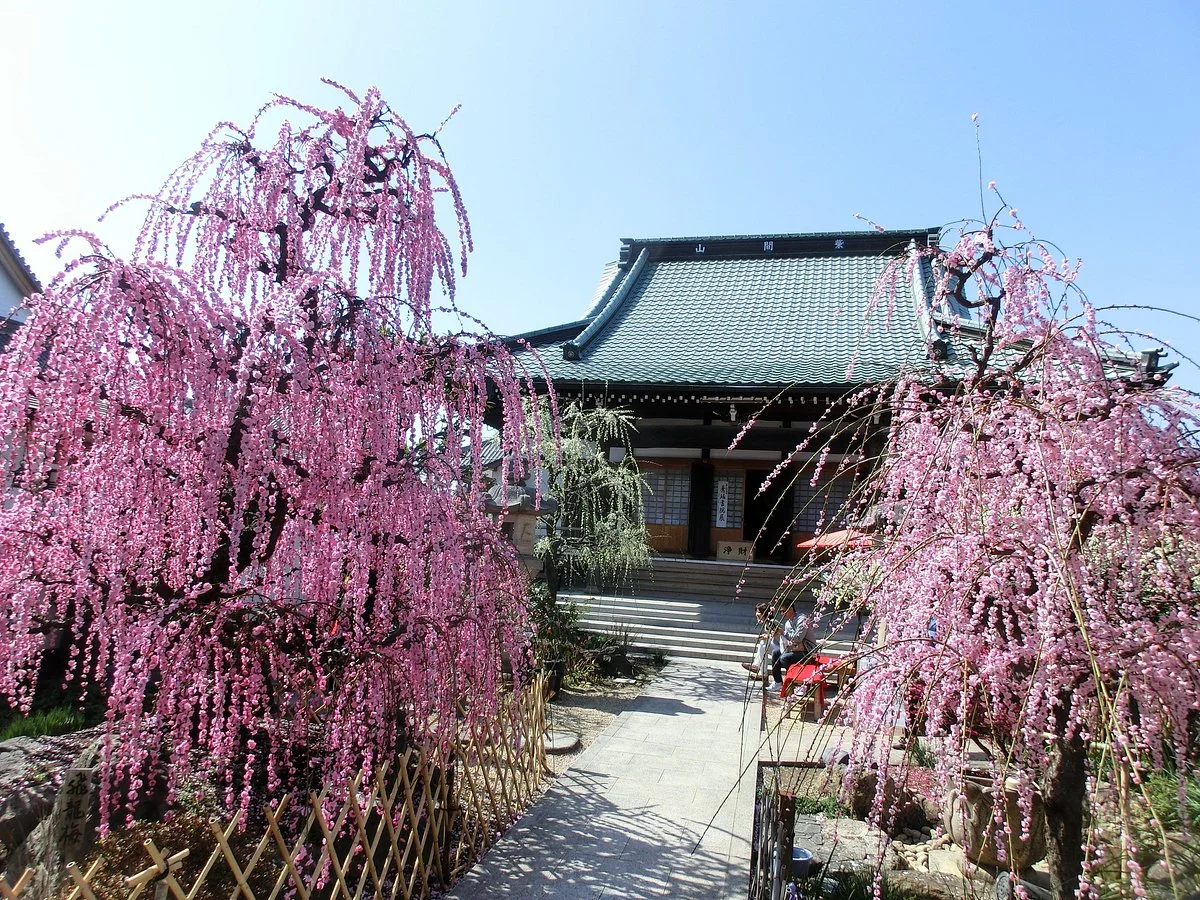 Koju-ji Temple