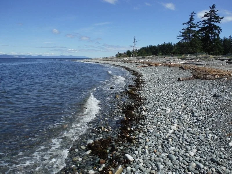 Kin Beach Provincial Park