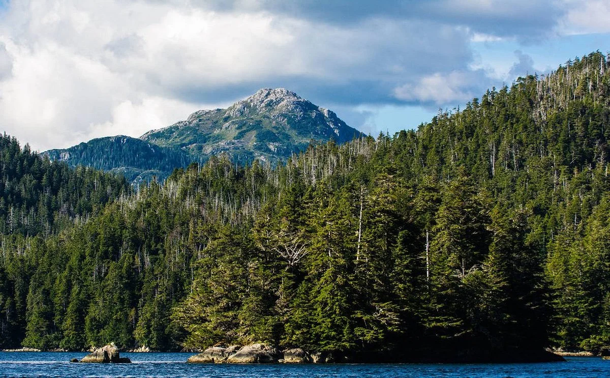 Tongass National Forest