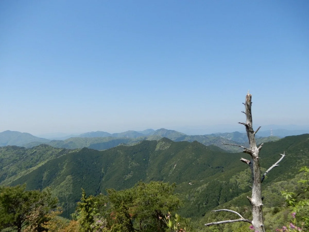 Mt. Shiraga