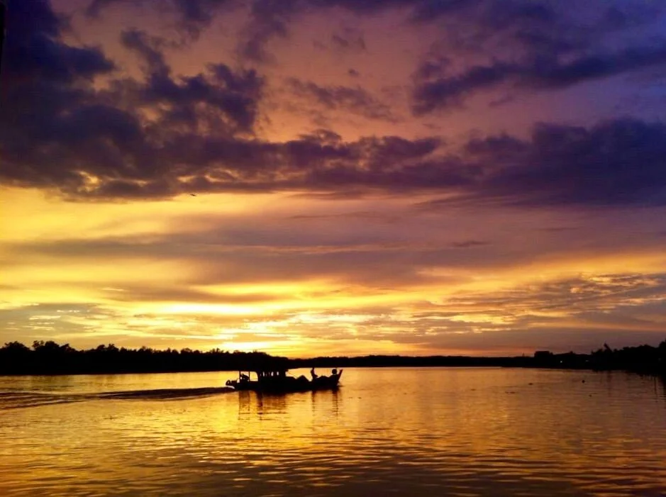 Kuala Selangor Firefly Park