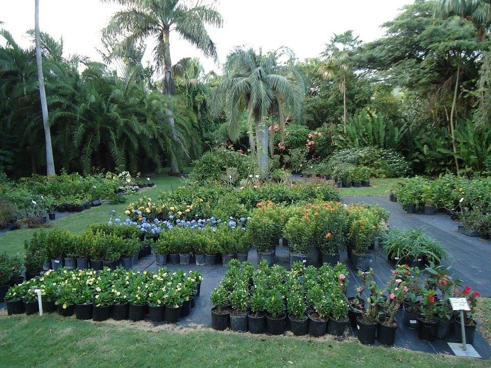 Cruzan Gardens