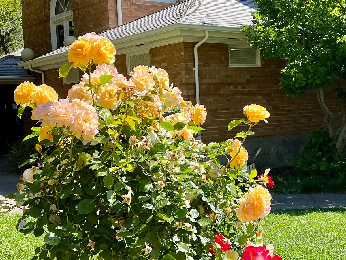 Sonoma Valley Visitors Bureau