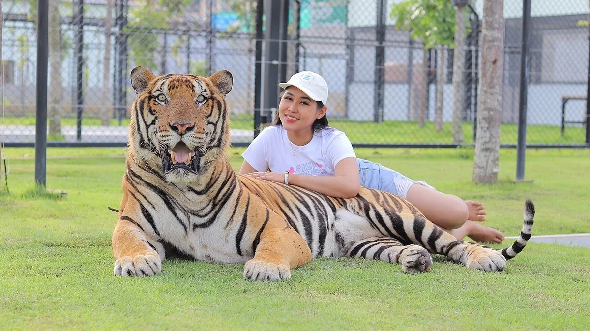 Tiger World Thailand