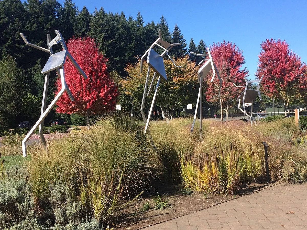 53rd Ave Community Park