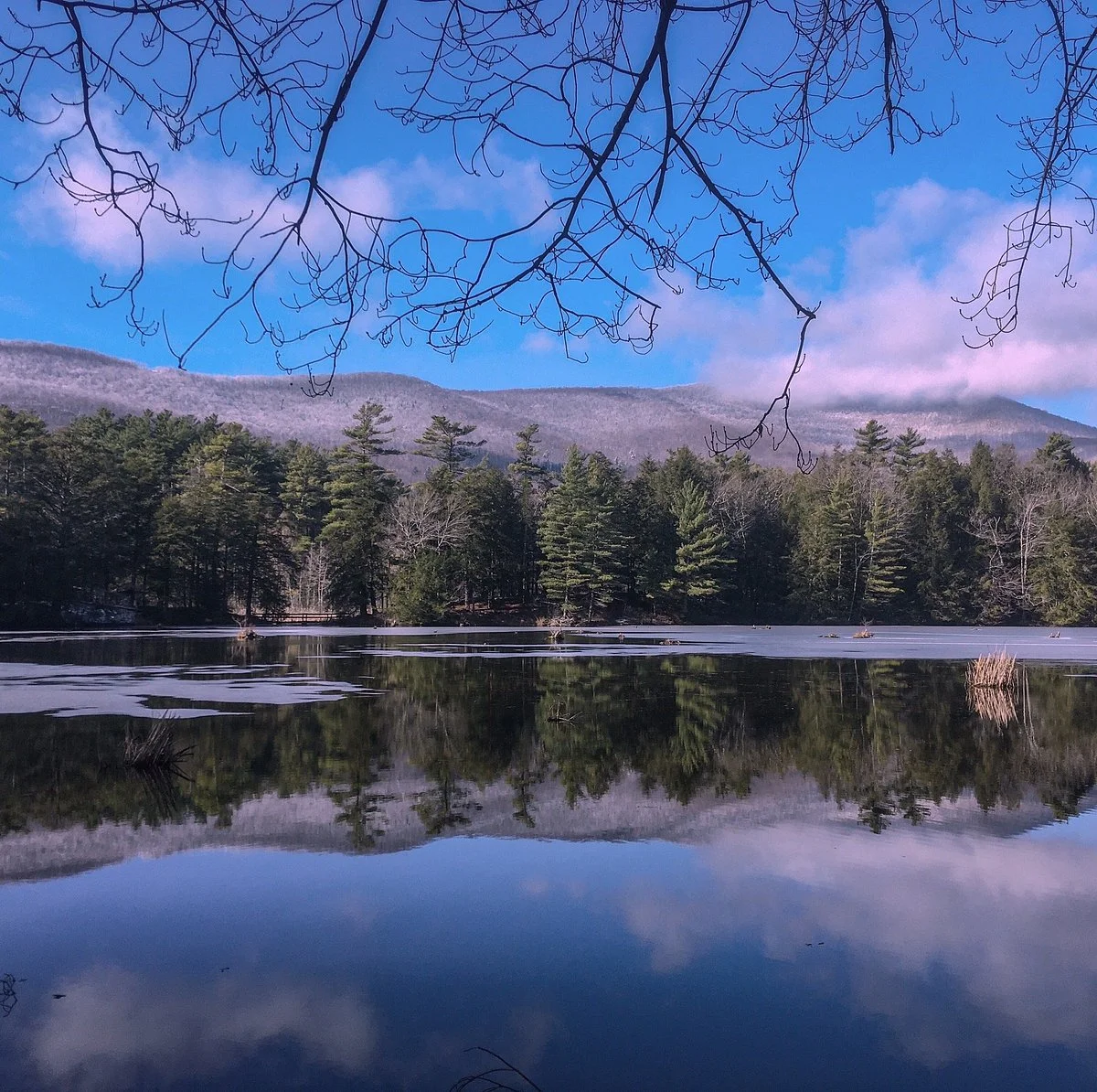 Lake Shaftsbury State Park