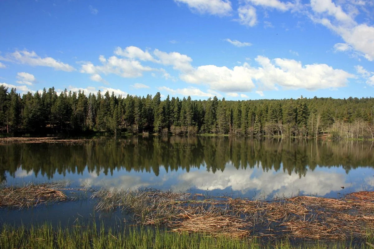 Mud Lake Trail