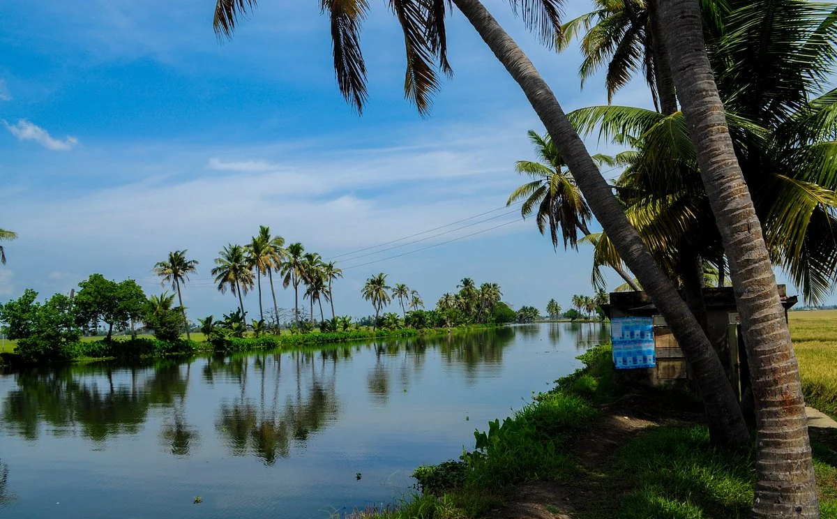 Valiyaparamba Backwaters