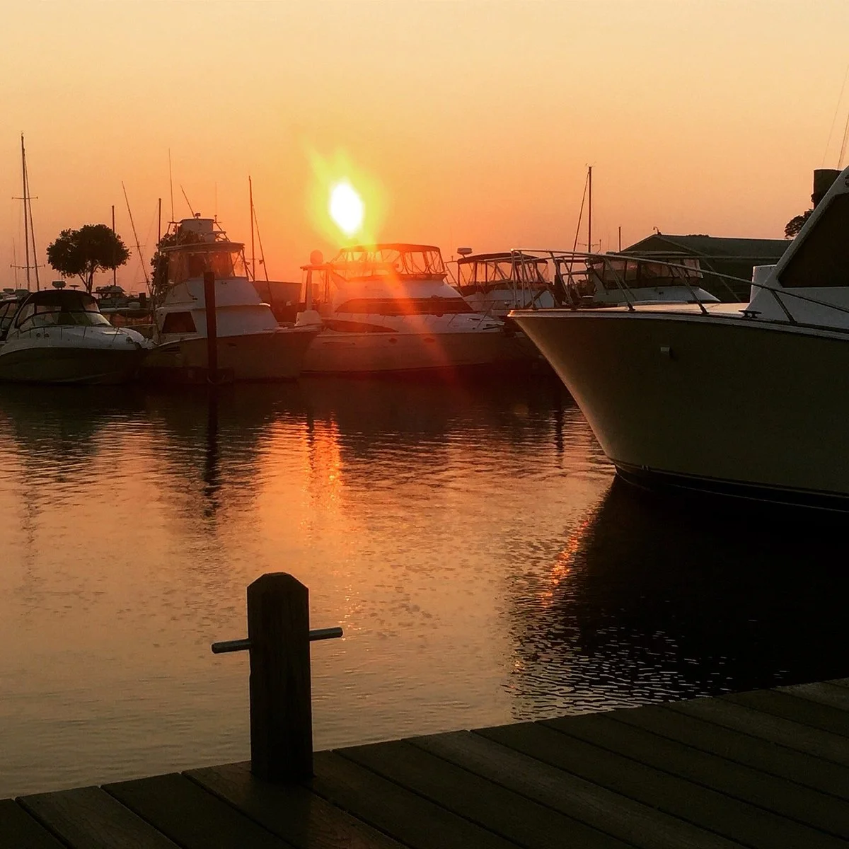 Cedar Island Marina