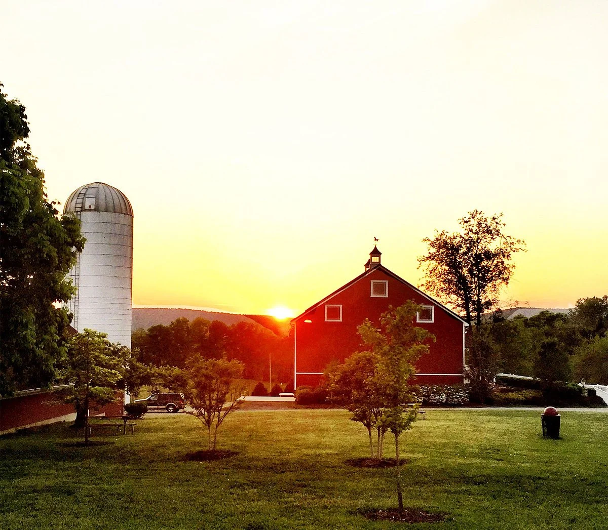 Sunset Hills Vineyard