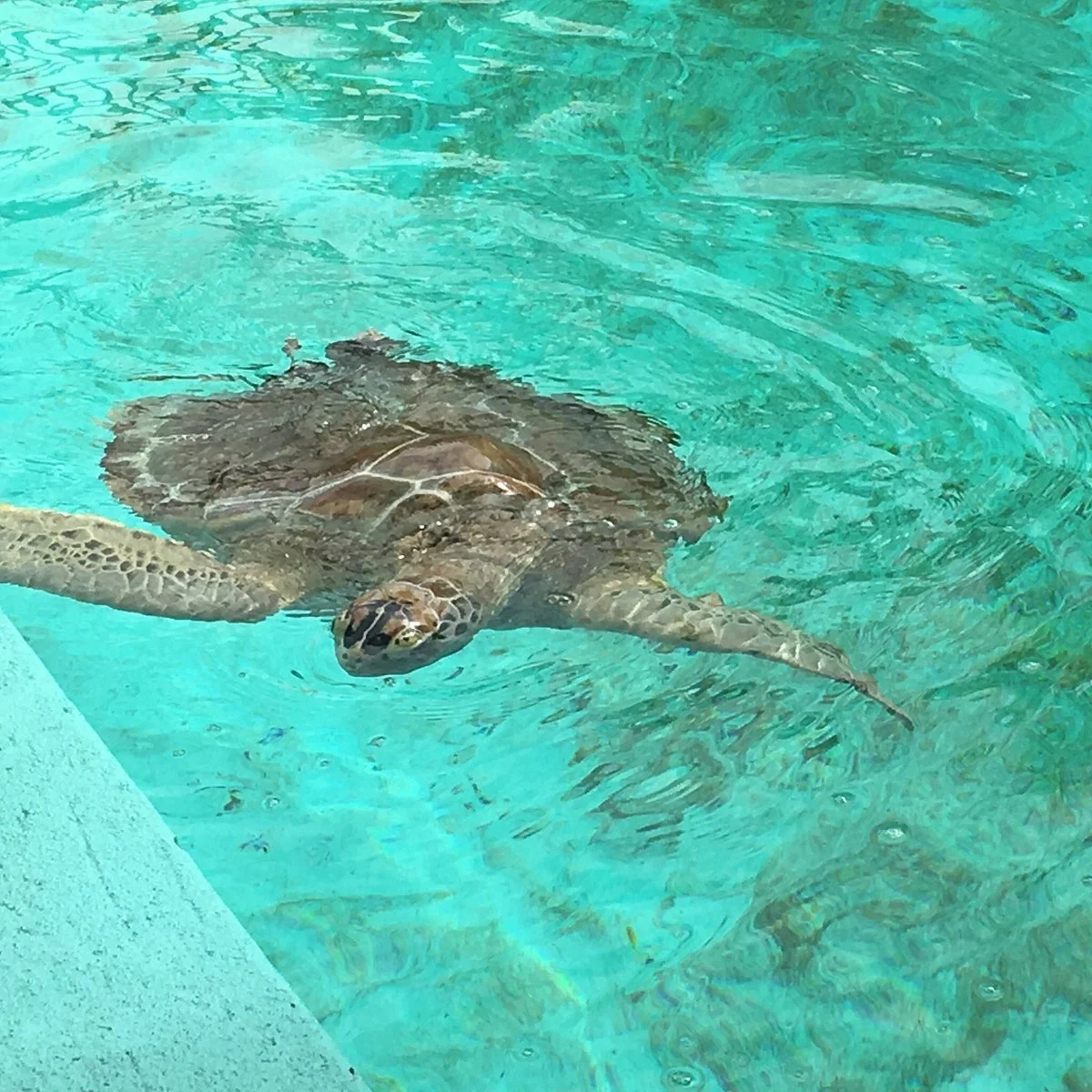 Marine Environmental Education Center