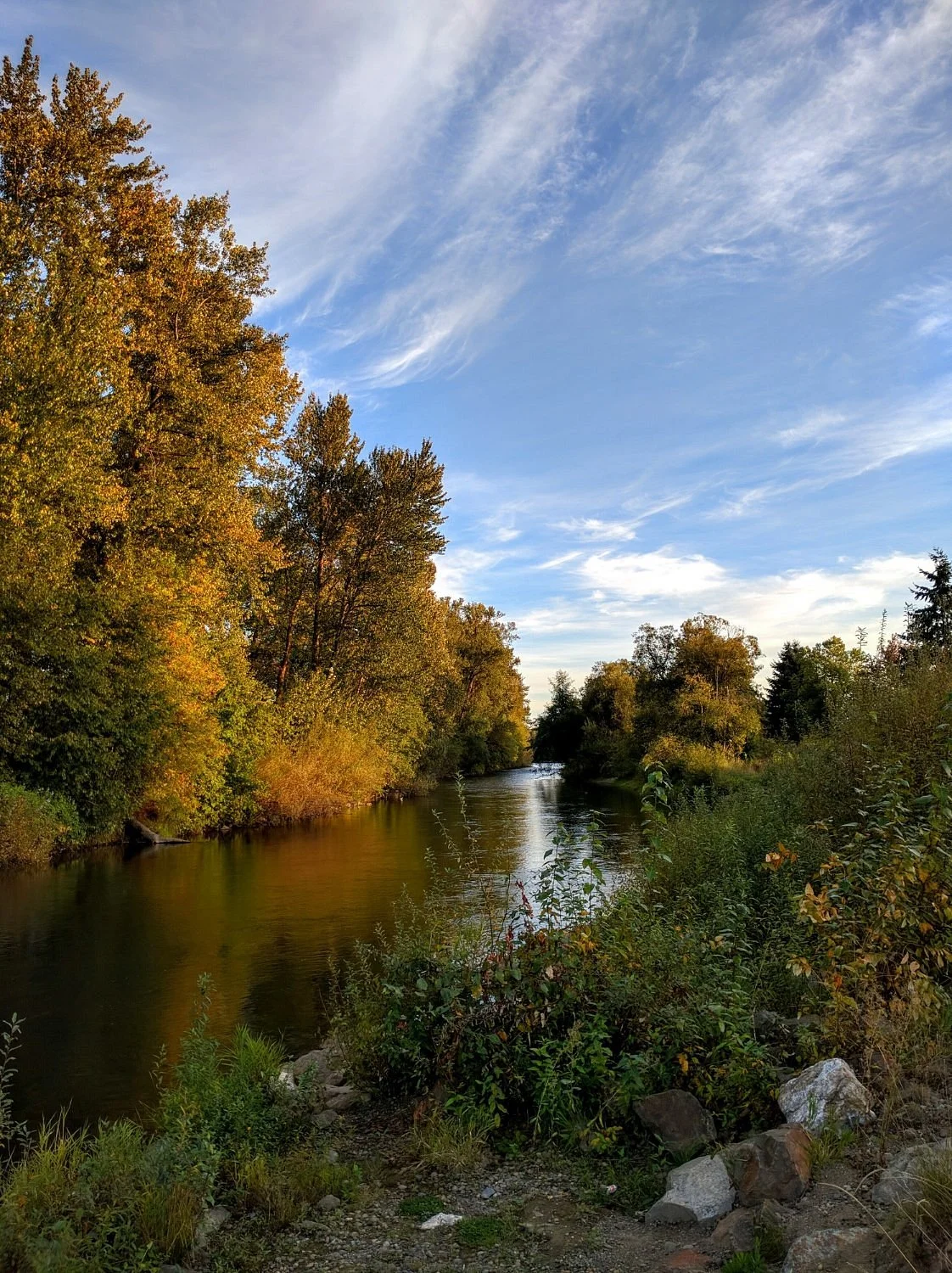 Brannan Park