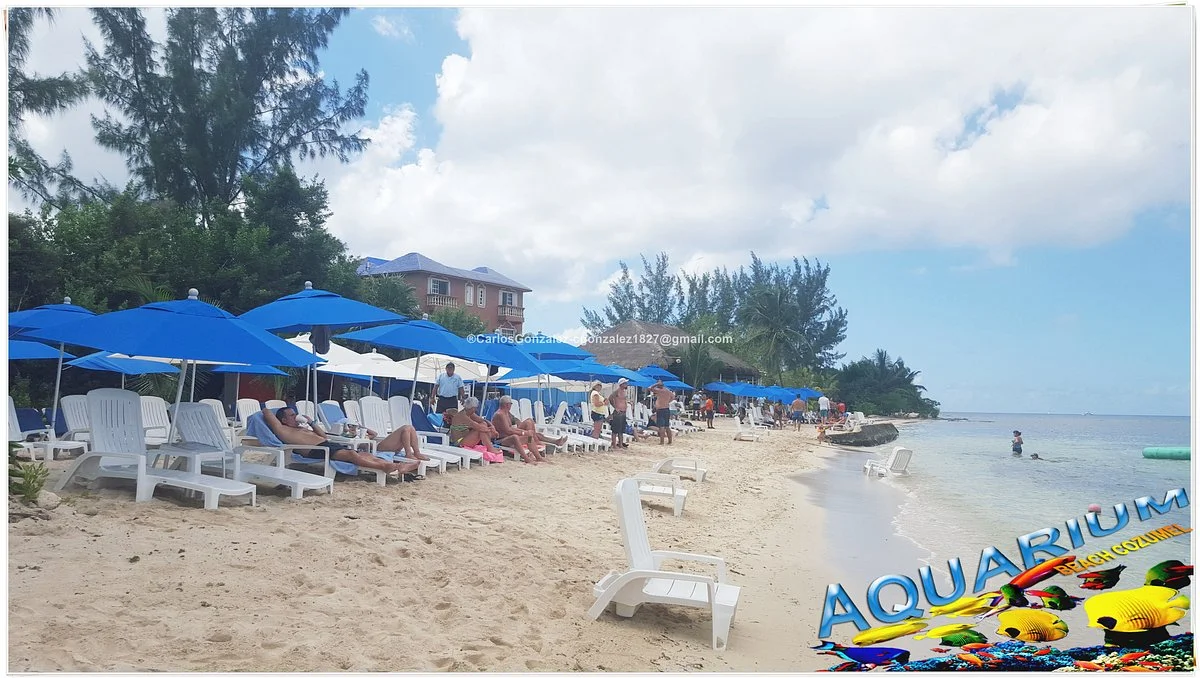 Aquarium Beach Cozumel