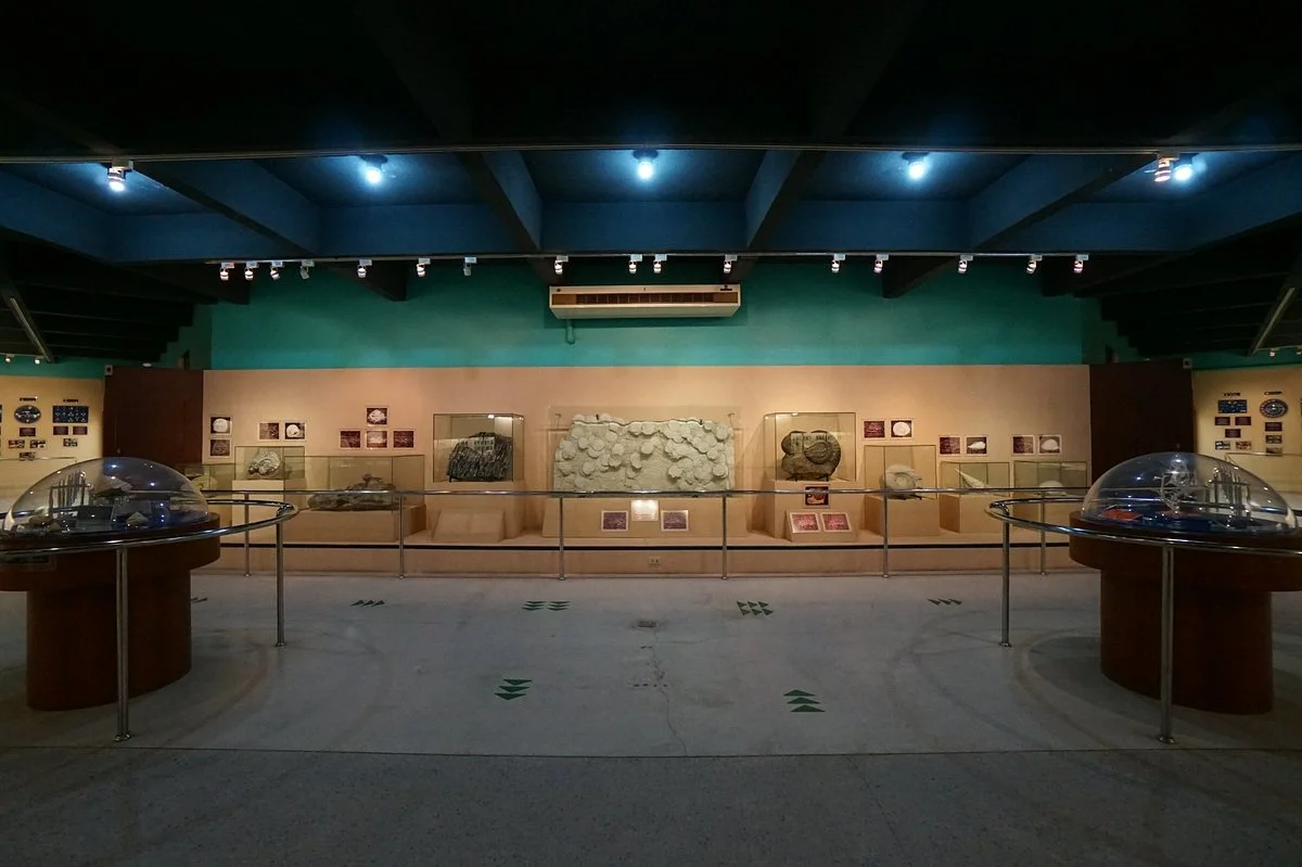 Shell World Museum