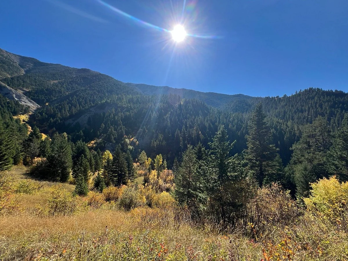 Middle Cottonwood Trailhead