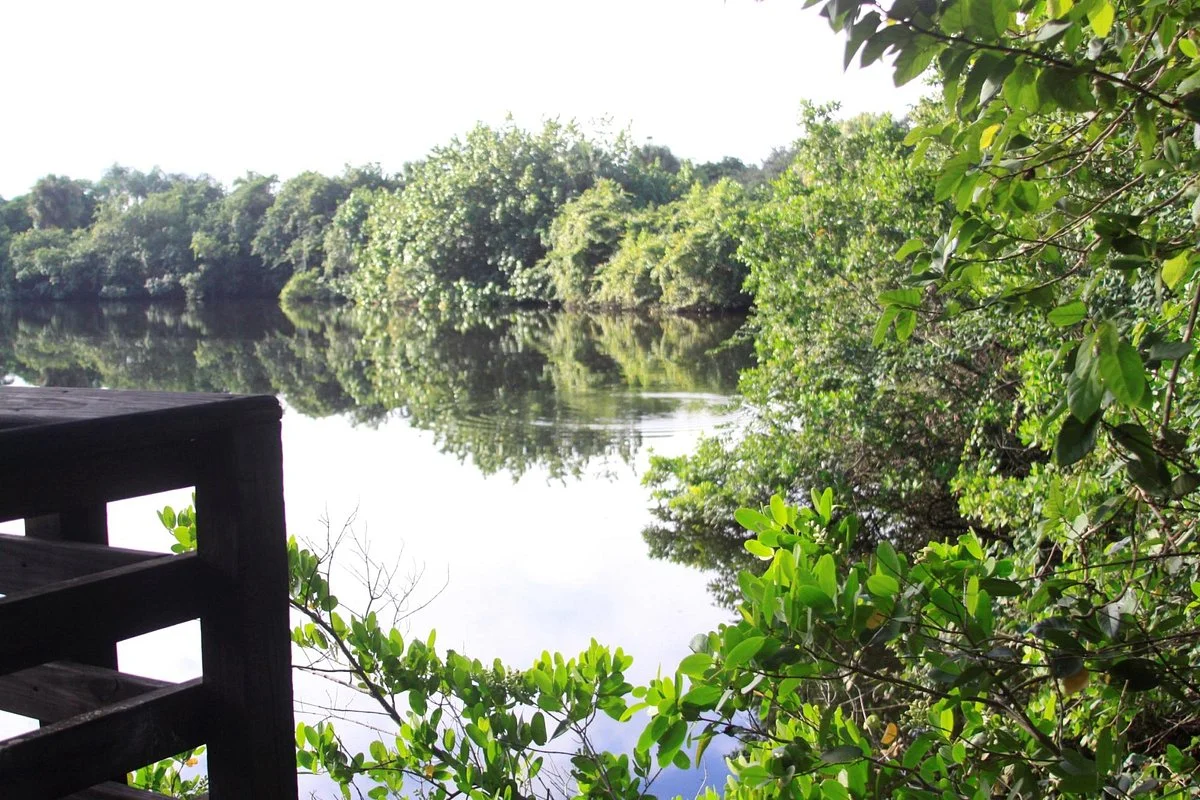 Frenchman's Forest Natural Area